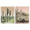Stupell Industries Saguaro Cactus Desertscape 2 pc Canvas Wall Art Set Design by Susan Bryant